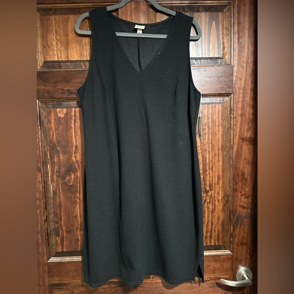 Women’s black mini dress